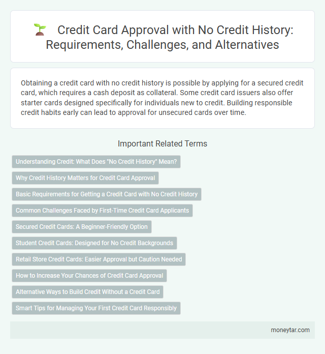 Credit Card Approval with No Credit History: Requirements, Challenges, and Alternatives