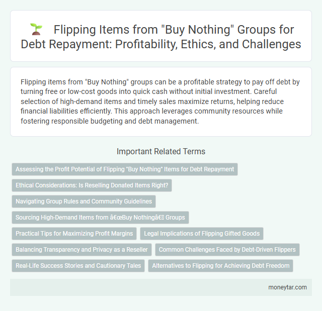 Flipping Items from Buy Nothing Groups for Debt Repayment: Profitability, Ethics, and Challenges
