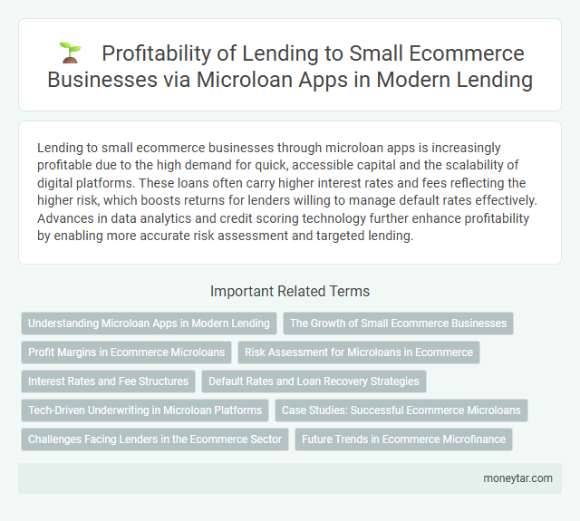 Profitability of Lending to Small Ecommerce Businesses via Microloan Apps in Modern Lending