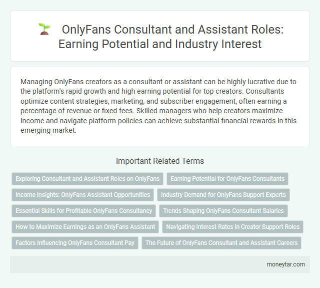 OnlyFans Consultant and Assistant Roles: Earning Potential and Industry Interest