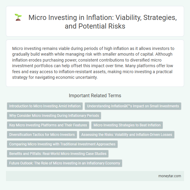 Micro Investing in Inflation: Viability, Strategies, and Potential Risks