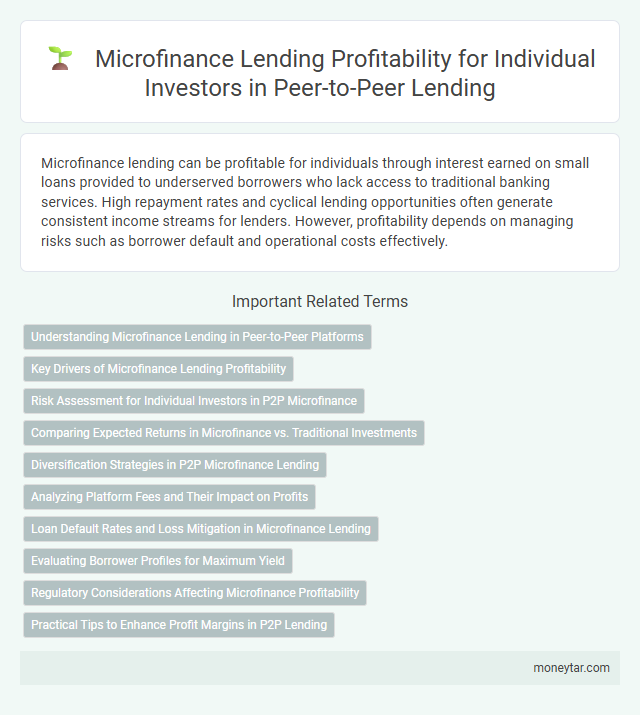 Microfinance Lending Profitability for Individual Investors in Peer-to-Peer Lending