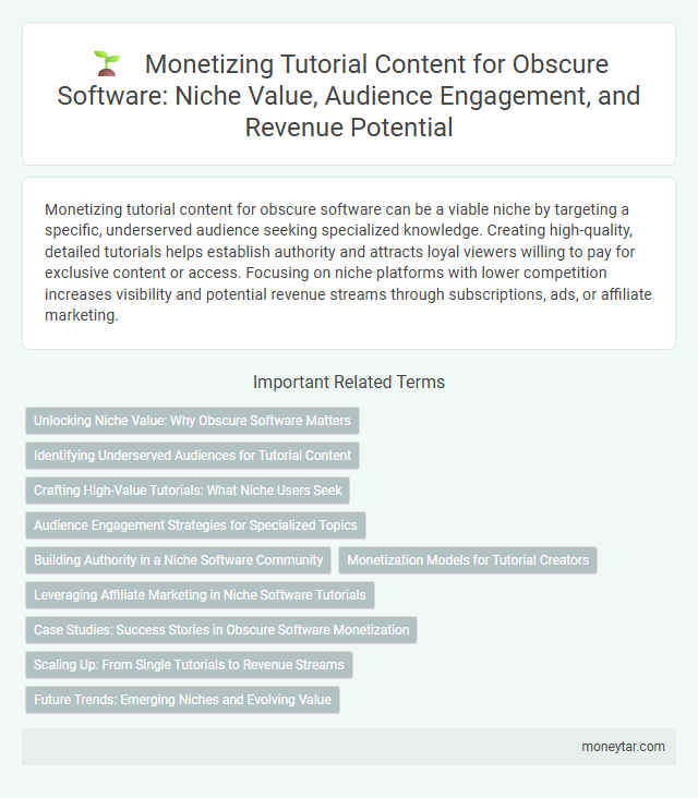 Monetizing Tutorial Content for Obscure Software: Niche Value, Audience Engagement, and Revenue Potential