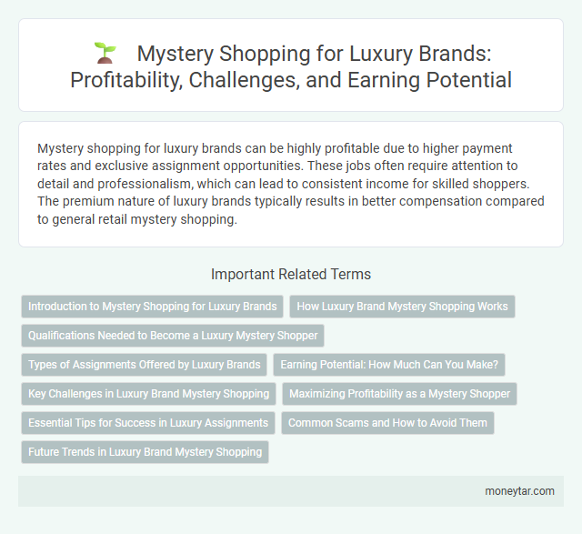 Mystery Shopping for Luxury Brands: Profitability, Challenges, and Earning Potential