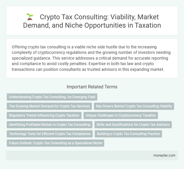 Crypto Tax Consulting: Viability, Market Demand, and Niche Opportunities in Taxation