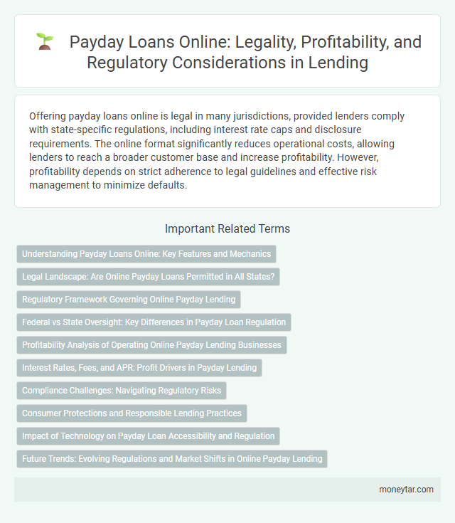 Payday Loans Online: Legality, Profitability, and Regulatory Considerations in Lending