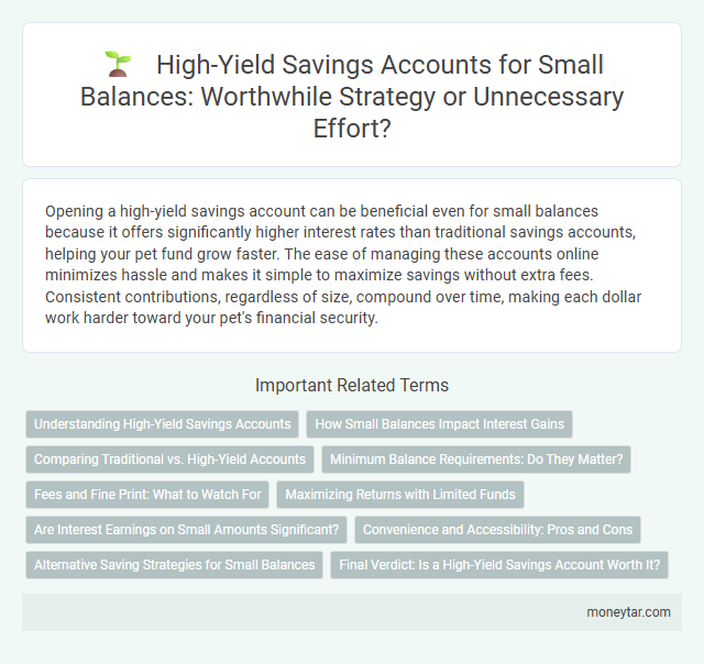 High-Yield Savings Accounts for Small Balances: Worthwhile Strategy or Unnecessary Effort?