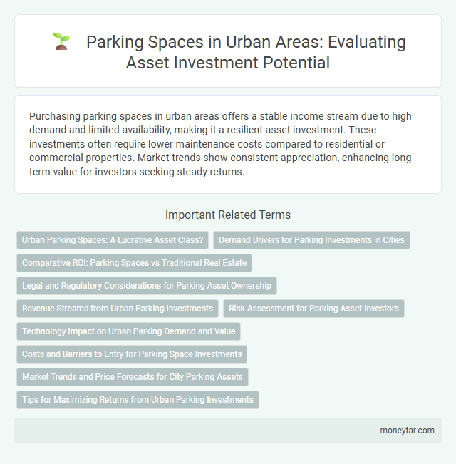 Parking Spaces in Urban Areas: Evaluating Asset Investment Potential