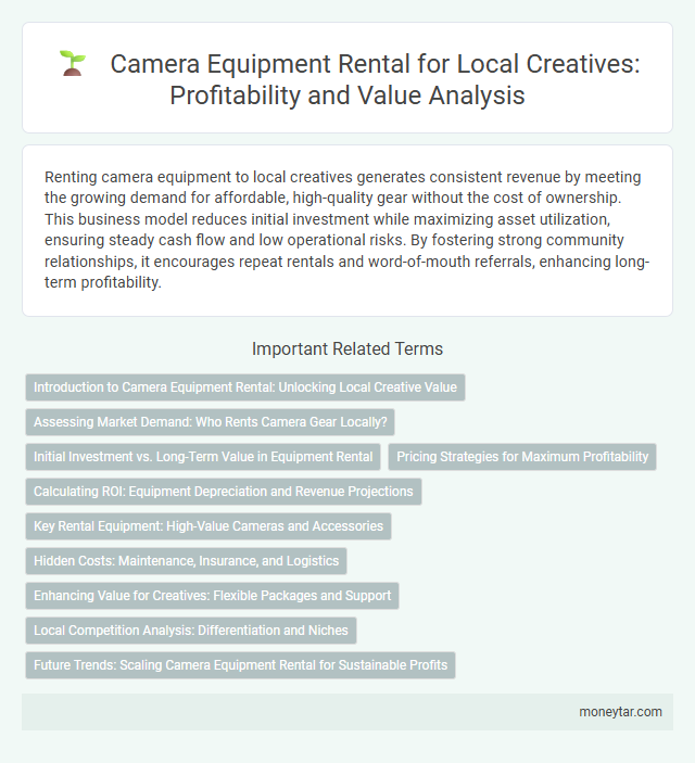 Camera Equipment Rental for Local Creatives: Profitability and Value Analysis