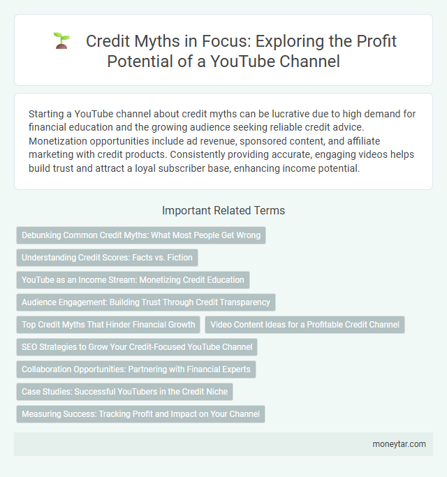 Credit Myths in Focus: Exploring the Profit Potential of a YouTube Channel