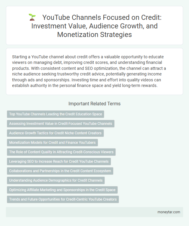 YouTube Channels Focused on Credit: Investment Value, Audience Growth, and Monetization Strategies