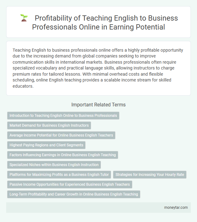 Profitability of Teaching English to Business Professionals Online in Earning Potential