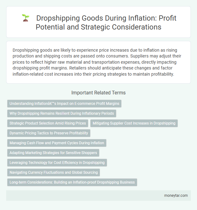 Dropshipping Goods During Inflation: Profit Potential and Strategic Considerations