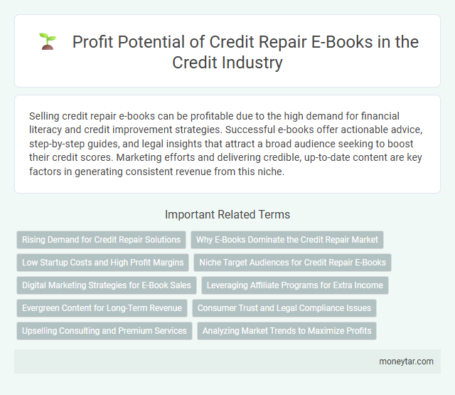 Profit Potential of Credit Repair E-Books in the Credit Industry