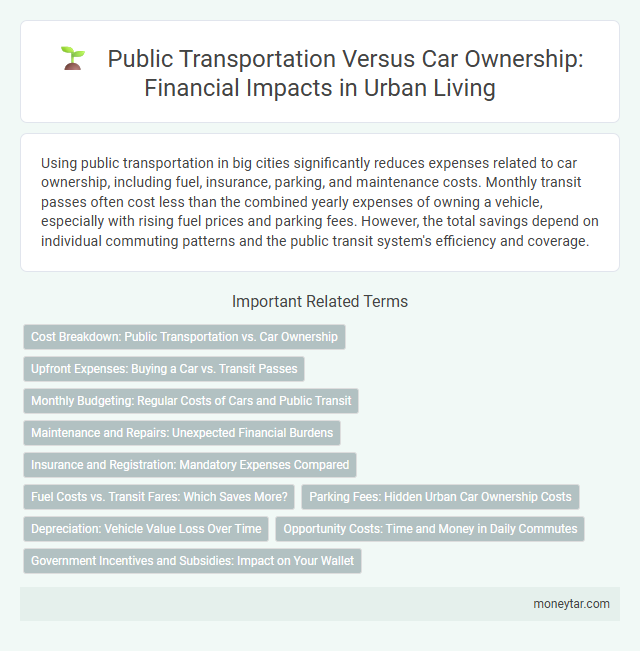 Public Transportation Versus Car Ownership: Financial Impacts in Urban Living