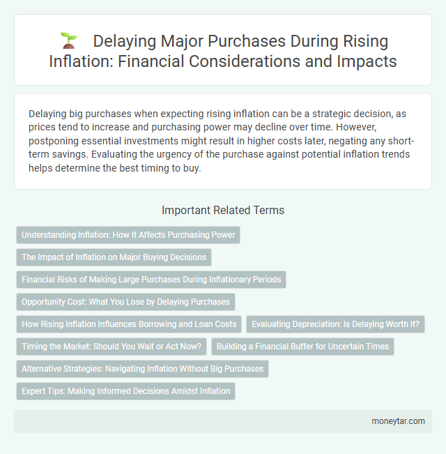Delaying Major Purchases During Rising Inflation: Financial Considerations and Impacts