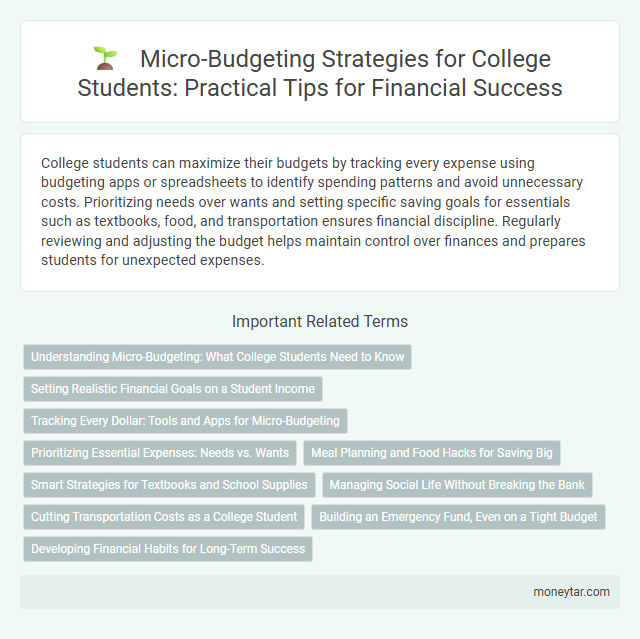 Micro-Budgeting Strategies for College Students: Practical Tips for Financial Success