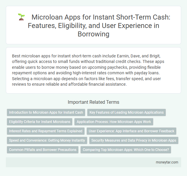 Microloan Apps for Instant Short-Term Cash: Features, Eligibility, and User Experience in Borrowing