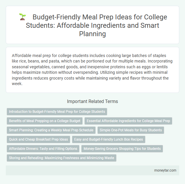 Budget-Friendly Meal Prep Ideas for College Students: Affordable Ingredients and Smart Planning