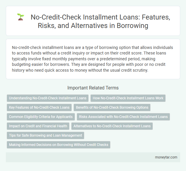 No-Credit-Check Installment Loans: Features, Risks, and Alternatives in Borrowing