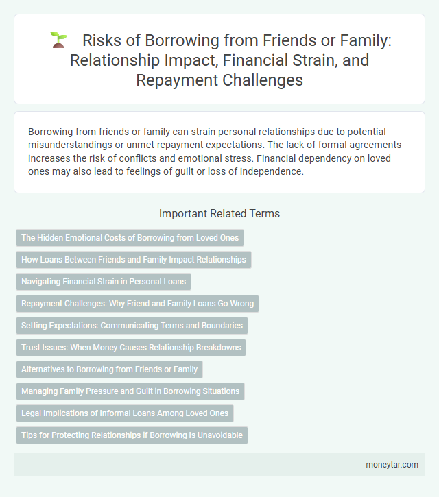 Risks of Borrowing from Friends or Family: Relationship Impact, Financial Strain, and Repayment Challenges