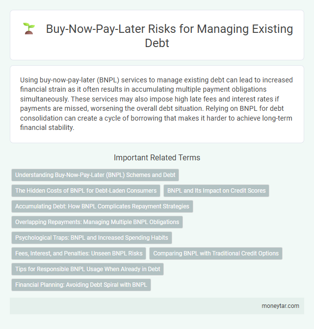 Buy-Now-Pay-Later Risks for Managing Existing Debt