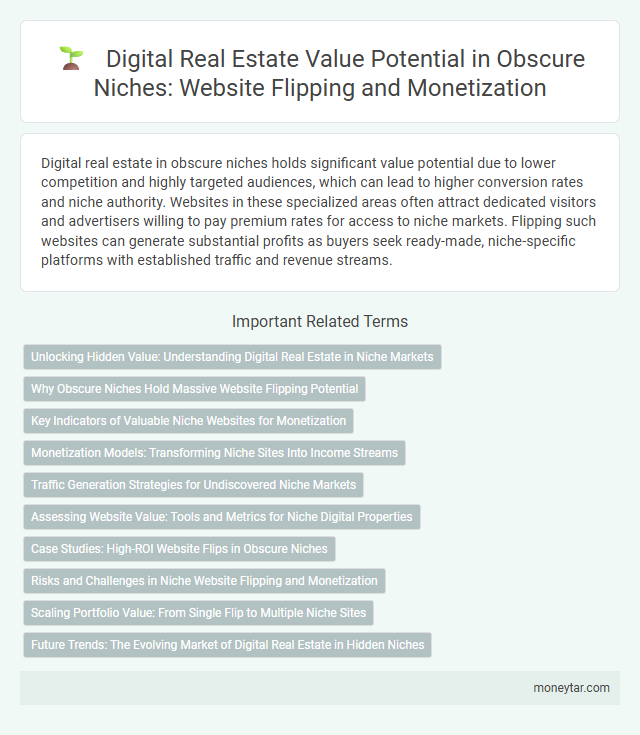 Digital Real Estate Value Potential in Obscure Niches: Website Flipping and Monetization