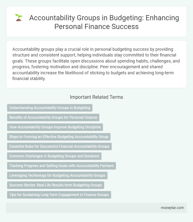 Accountability Groups in Budgeting: Enhancing Personal Finance Success