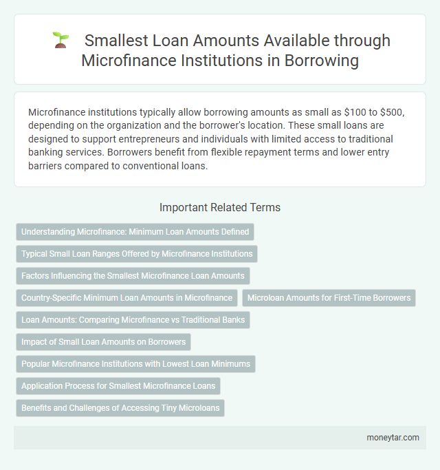 Smallest Loan Amounts Available through Microfinance Institutions in Borrowing