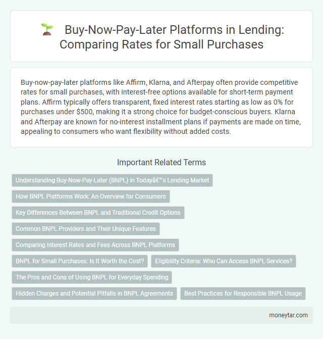 Buy-Now-Pay-Later Platforms in Lending: Comparing Rates for Small Purchases