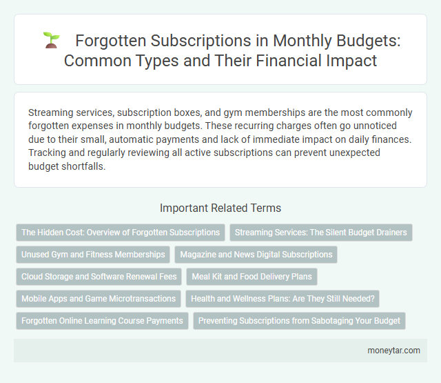 Forgotten Subscriptions in Monthly Budgets: Common Types and Their Financial Impact