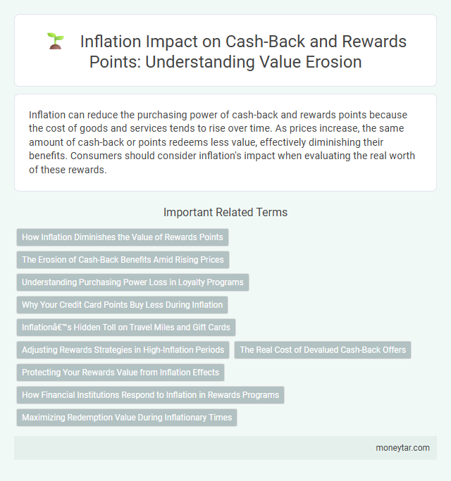Inflation Impact on Cash-Back and Rewards Points: Understanding Value Erosion