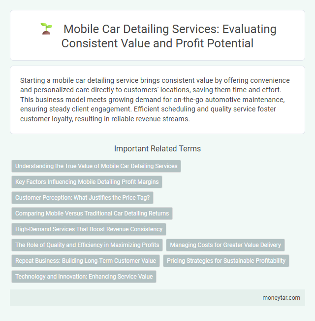 Mobile Car Detailing Services: Evaluating Consistent Value and Profit Potential