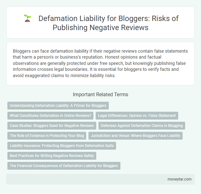 Defamation Liability for Bloggers: Risks of Publishing Negative Reviews