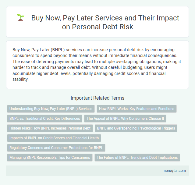 Buy Now, Pay Later Services and Their Impact on Personal Debt Risk