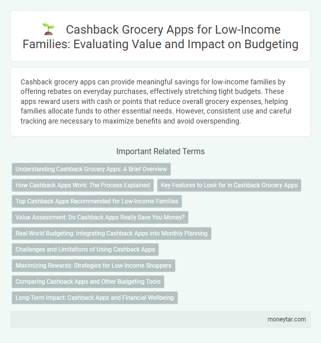 Cashback Grocery Apps for Low-Income Families: Evaluating Value and Impact on Budgeting