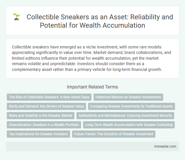 Collectible Sneakers as an Asset: Reliability and Potential for Wealth Accumulation