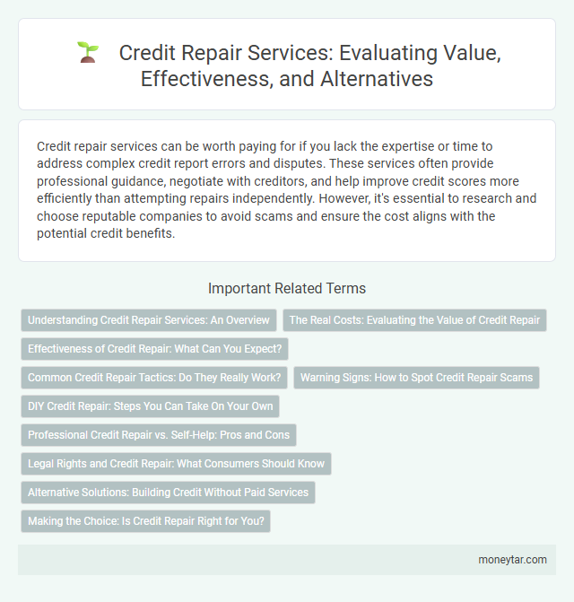 Credit Repair Services: Evaluating Value, Effectiveness, and Alternatives