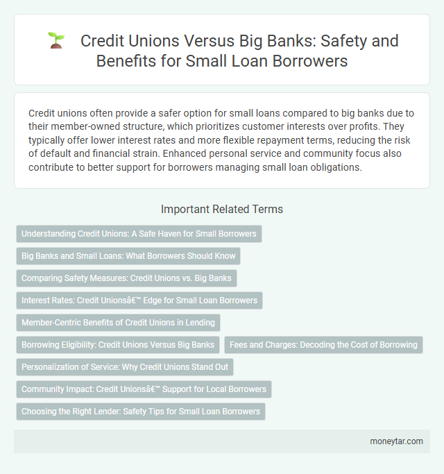 Credit Unions Versus Big Banks: Safety and Benefits for Small Loan Borrowers
