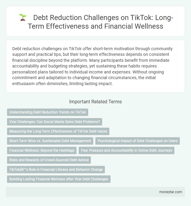 Debt Reduction Challenges on TikTok: Long-Term Effectiveness and Financial Wellness
