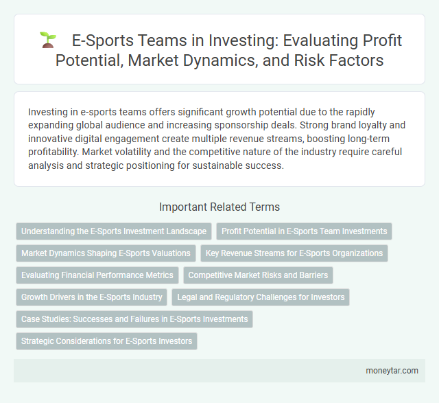 E-Sports Teams in Investing: Evaluating Profit Potential, Market Dynamics, and Risk Factors