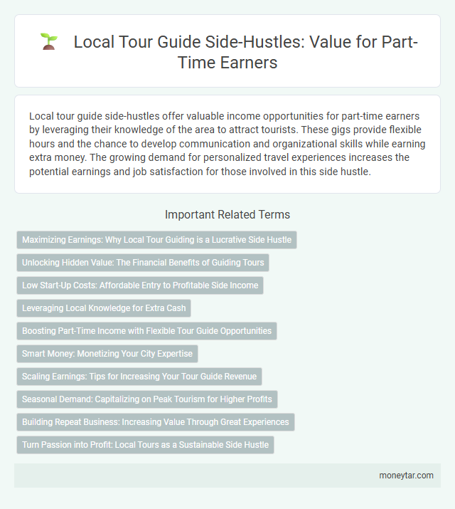 Local Tour Guide Side-Hustles: Value for Part-Time Earners
