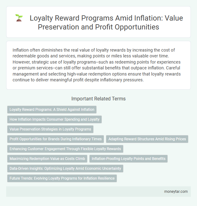 Loyalty Reward Programs Amid Inflation: Value Preservation and Profit Opportunities