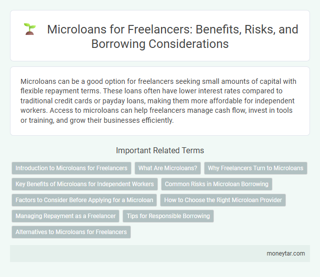 Microloans for Freelancers: Benefits, Risks, and Borrowing Considerations
