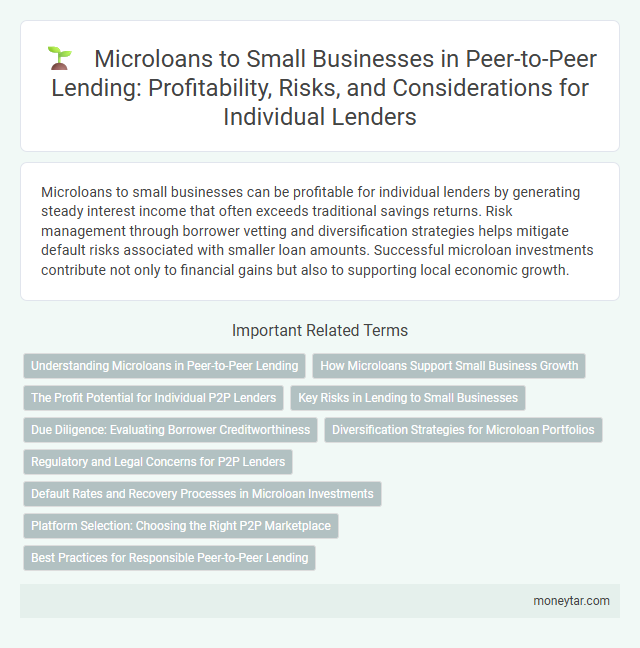 Microloans to Small Businesses in Peer-to-Peer Lending: Profitability, Risks, and Considerations for Individual Lenders