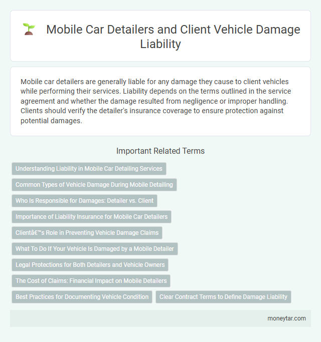 Mobile Car Detailers and Client Vehicle Damage Liability
