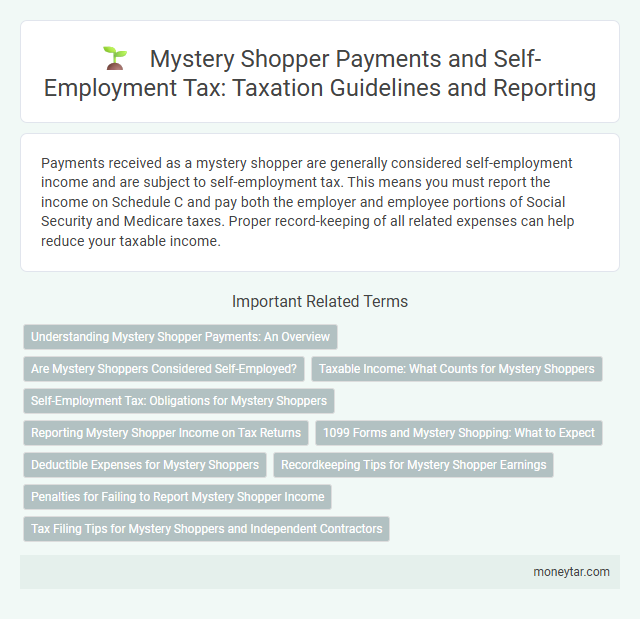 Mystery Shopper Payments and Self-Employment Tax: Taxation Guidelines and Reporting