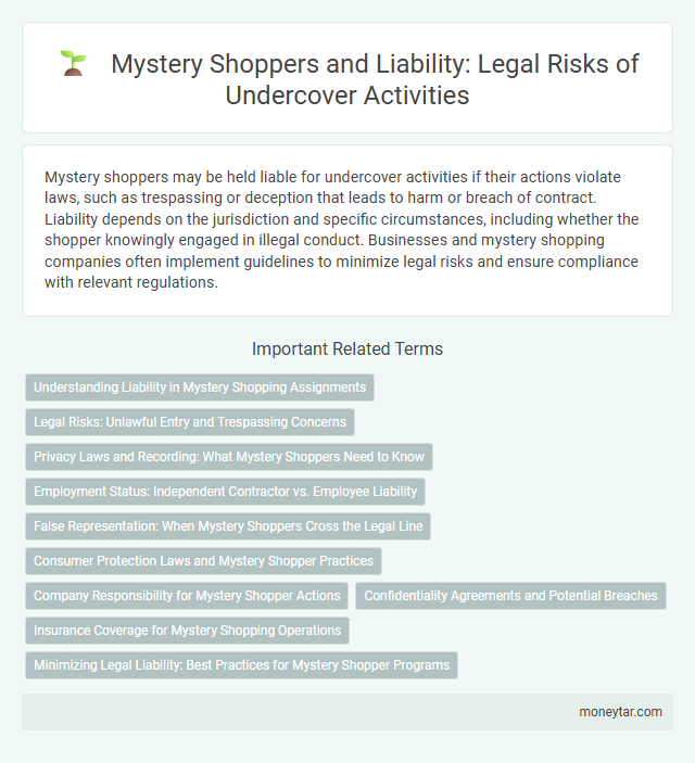 Mystery Shoppers and Liability: Legal Risks of Undercover Activities