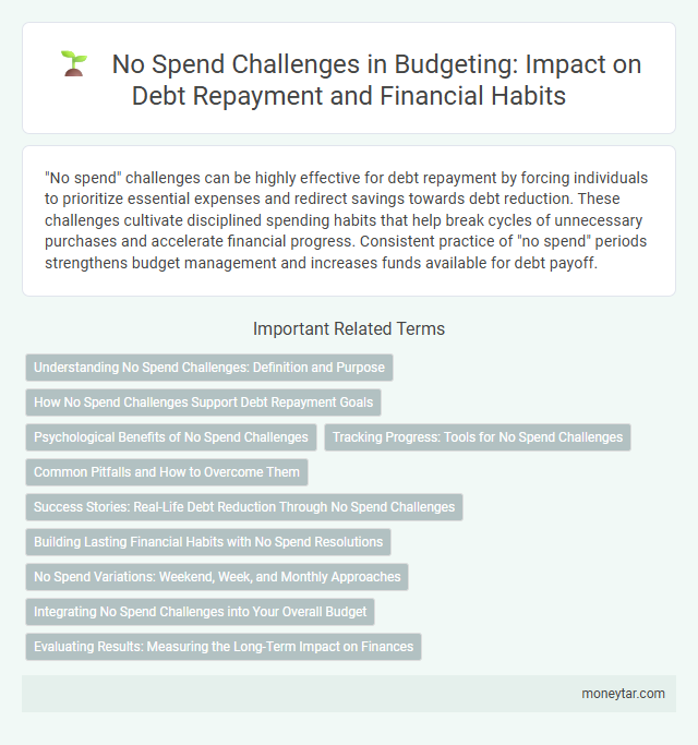 No Spend Challenges in Budgeting: Impact on Debt Repayment and Financial Habits