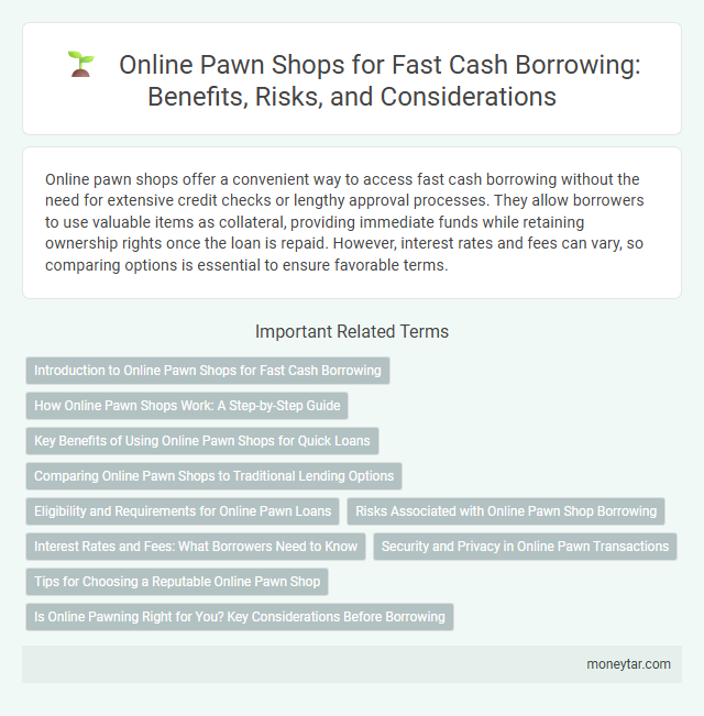Online Pawn Shops for Fast Cash Borrowing: Benefits, Risks, and Considerations